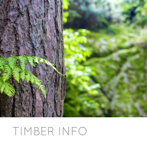 Timber articles