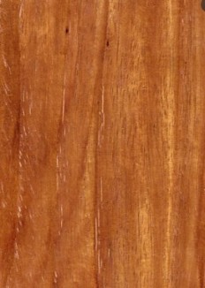 New Guinea Rosewood